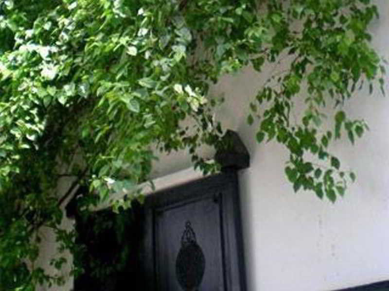 Riad Magellan Yoga And 4*